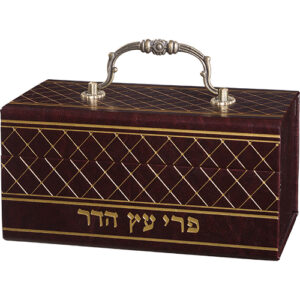 קופסא מהודרת לאתרוג דמוי עור עם ידית 13X19 ס"מ