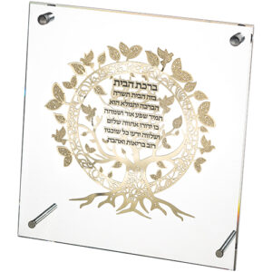 מסגרת אקריליק מהודרת עם פלקטה 23x24 ס"מ
